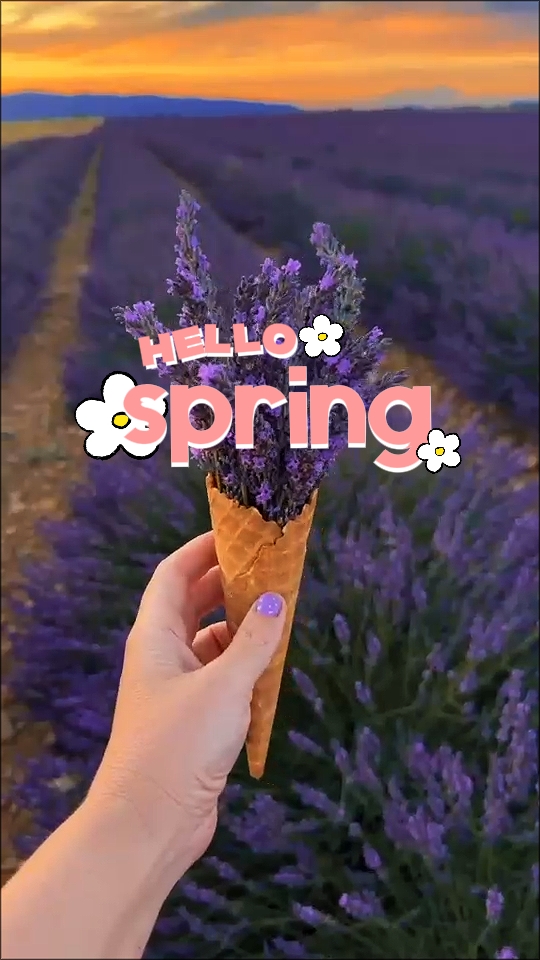 hello spring