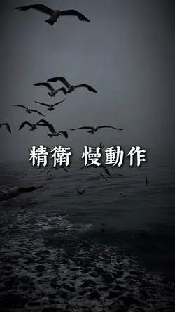 精衛 慢動作