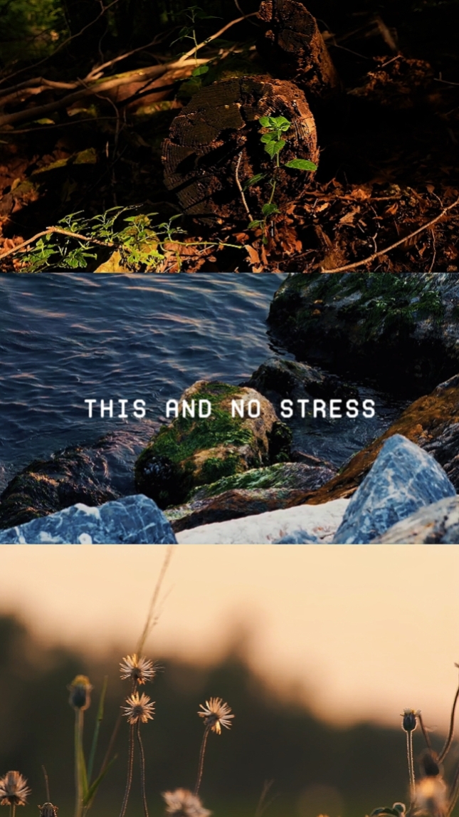 3 LANDSCAPE CLIPS!