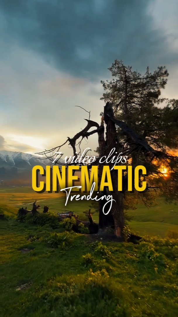 TREND CINEMATIC