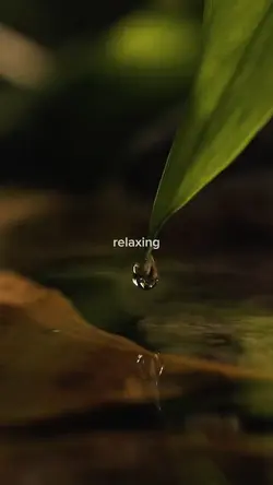 relaxing