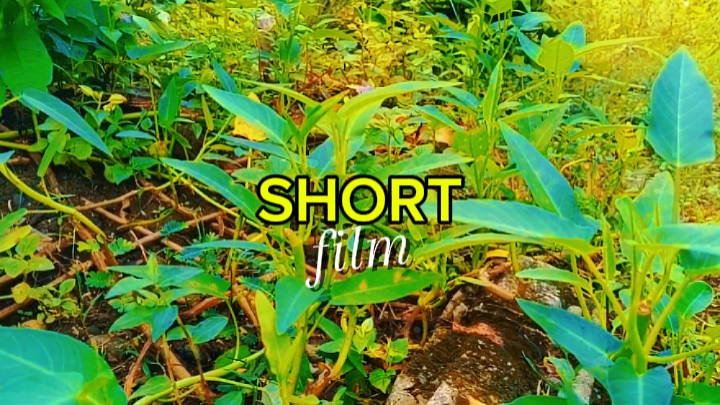 short film