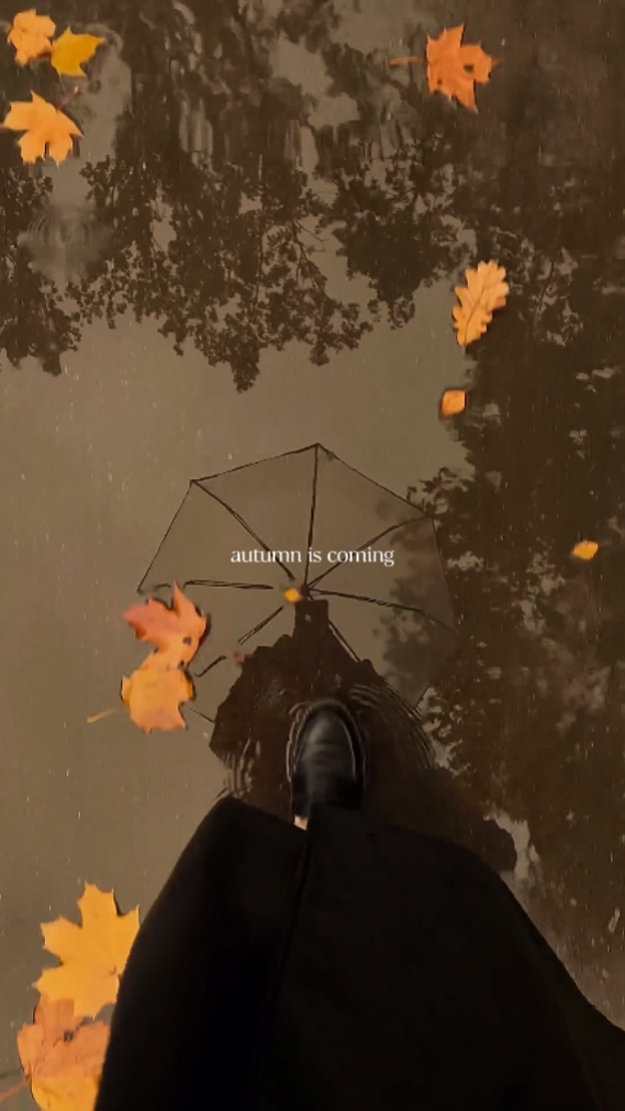 Der Herbst kommt