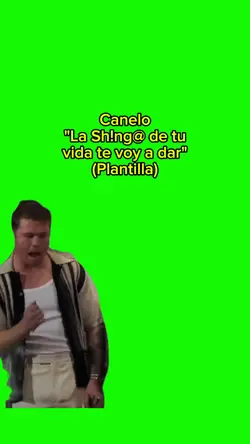 La Sh!ng@ de tu vida