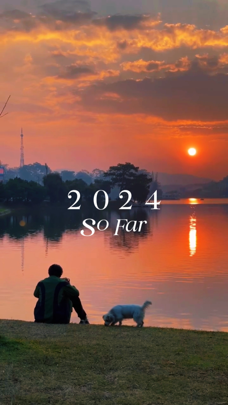Adiós 2024