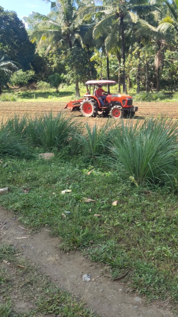 En la granja