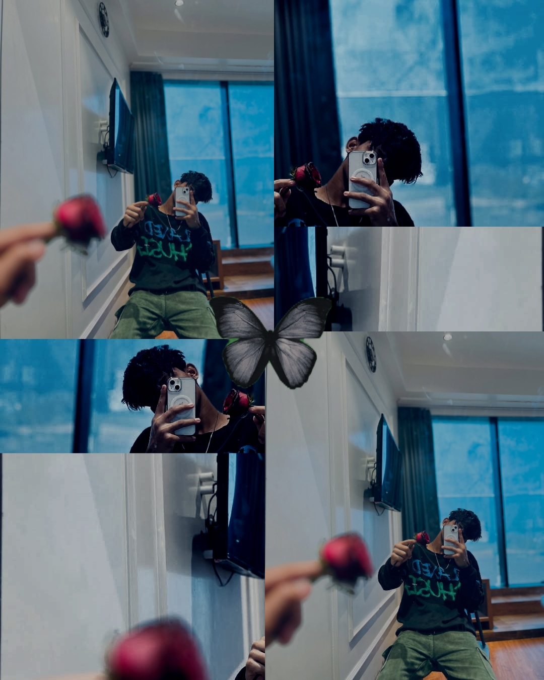 Cover Picture