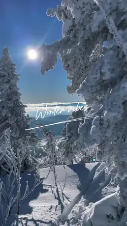 Winter vibes