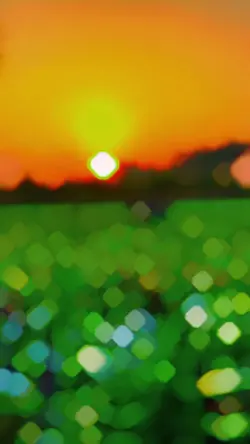 Green Grass