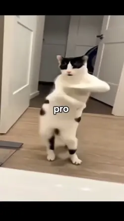 pro moves