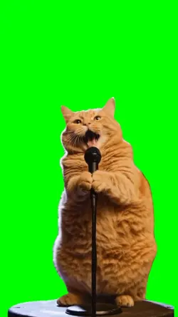 Cat Classical Singer