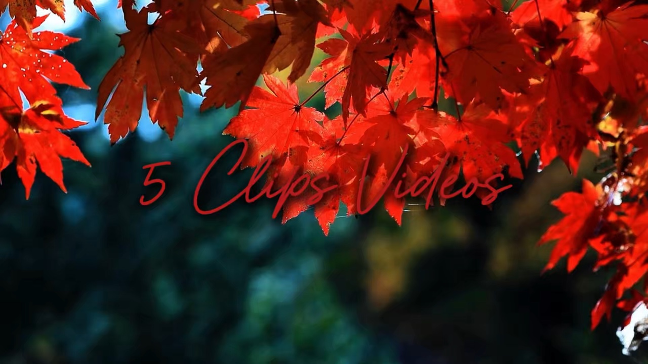 5 Videos Autumn
