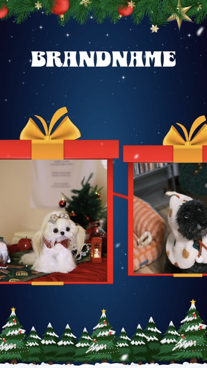 Christmas pet