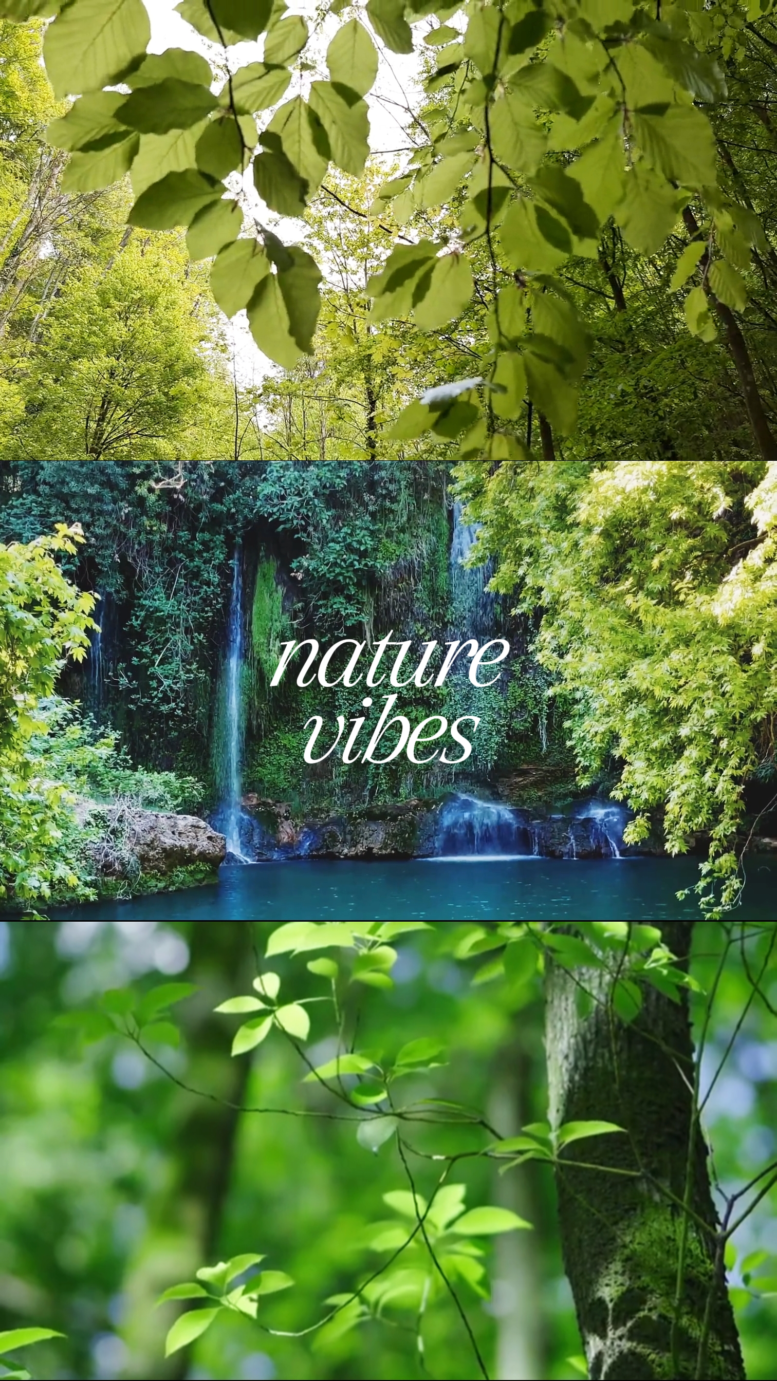 Nature Vibes