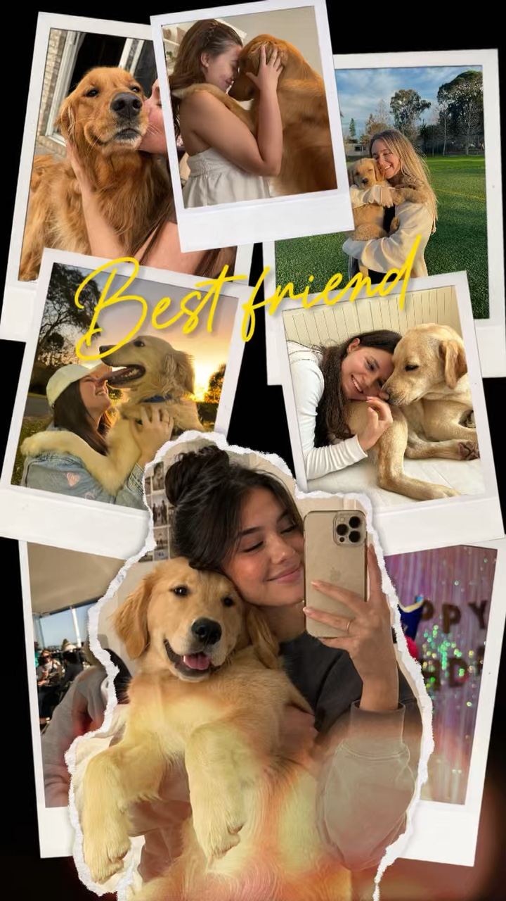 Best friend Dog 