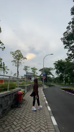 Lari sore