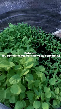 Semangat yaa Ibu