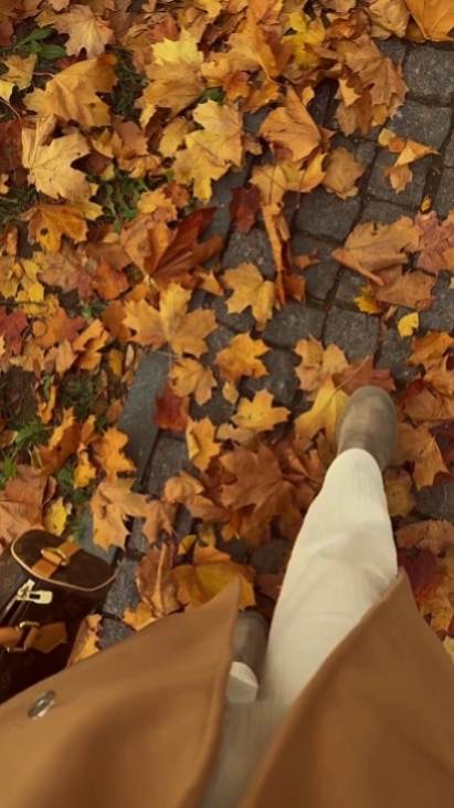 autumn leaves 