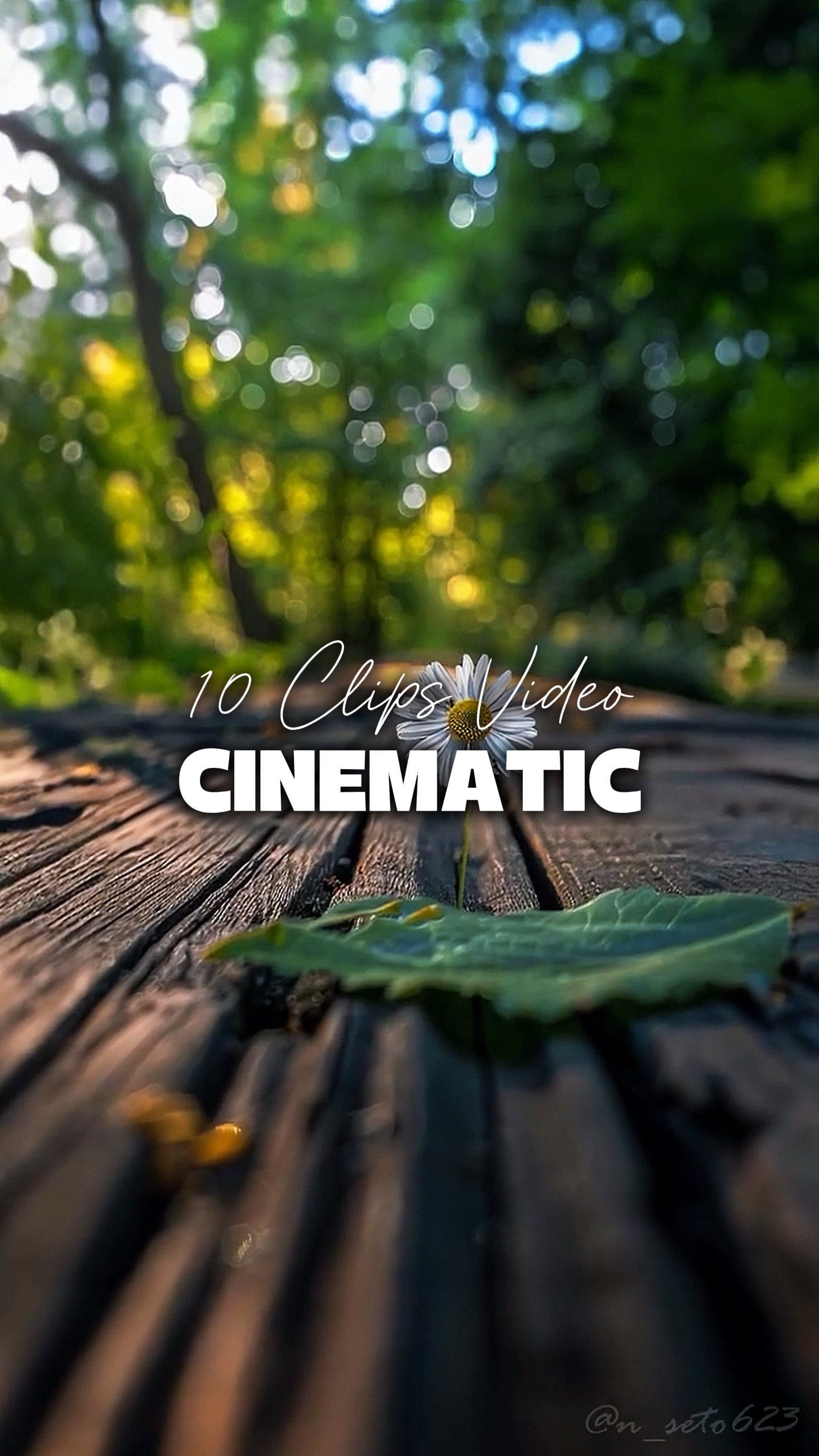 10 Vidéos Cinématiques 