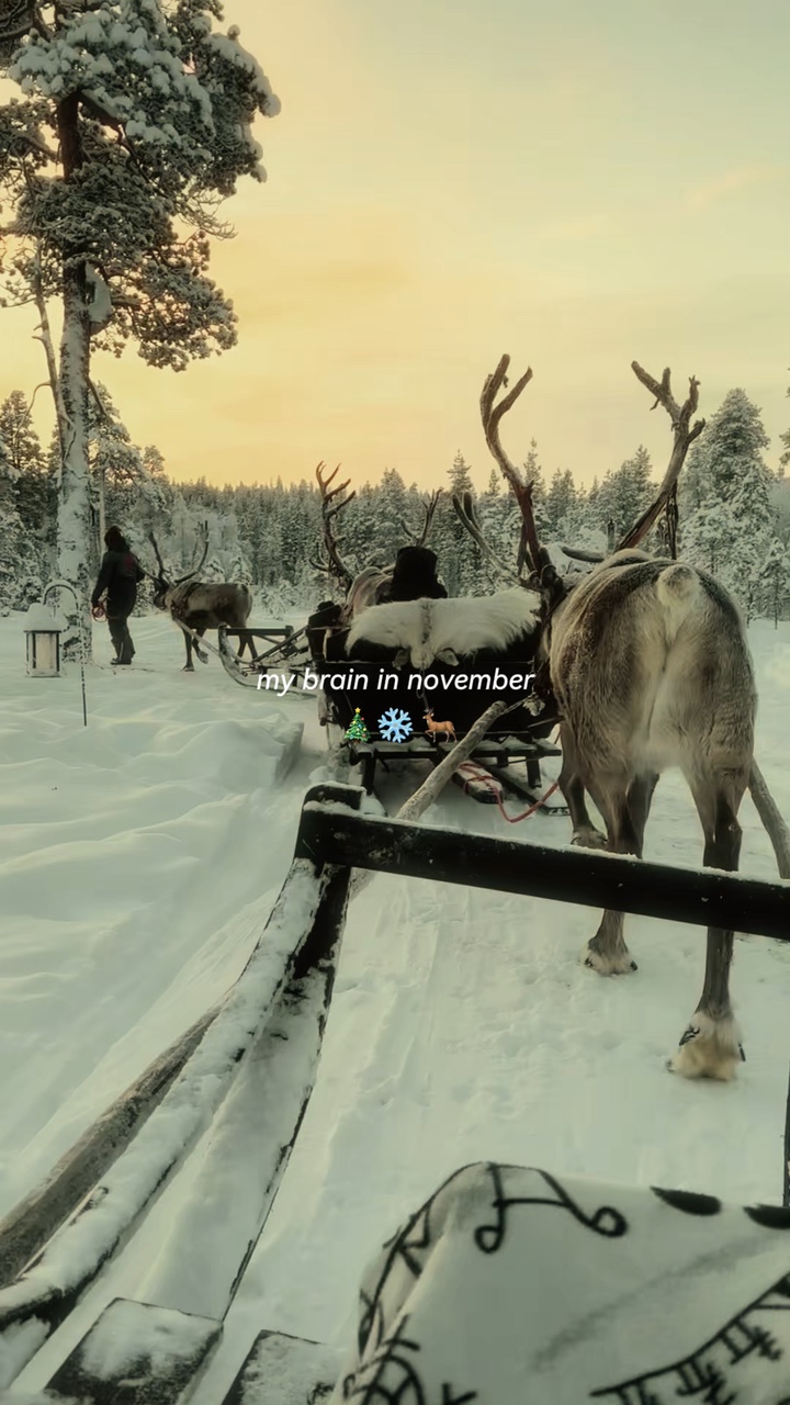 겨울 🎄❄️❄️