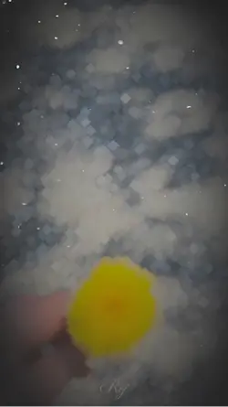 Yeni şablon