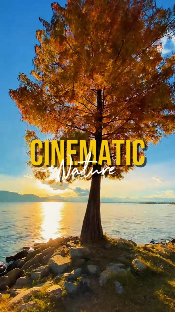 NATURE CINEMATIC
