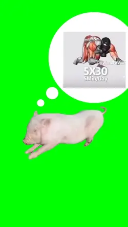 bro....