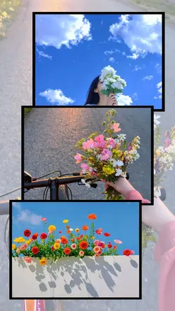 aesthetic photo
