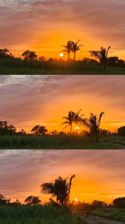 3 pics sunset