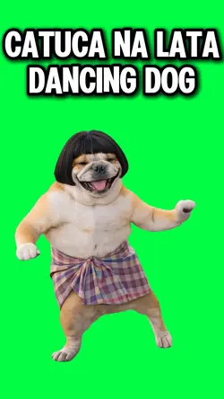 FUNNY DOG DANCE