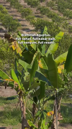 Agustus full senyum