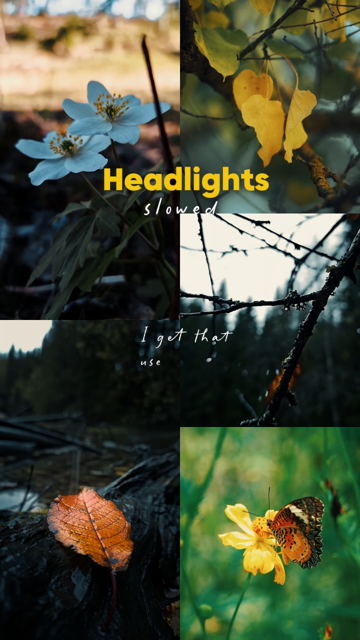 Headlights slowed