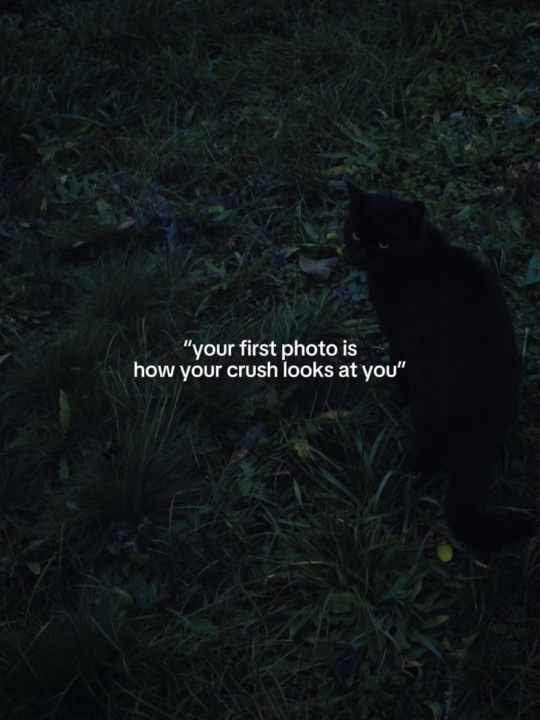 Ihr erstes Foto