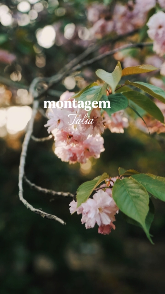 Montagem Talia