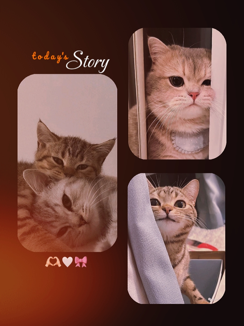 storyphoto