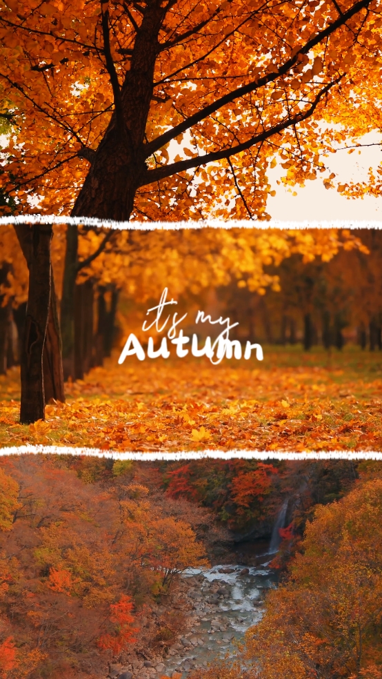 it's my autumn