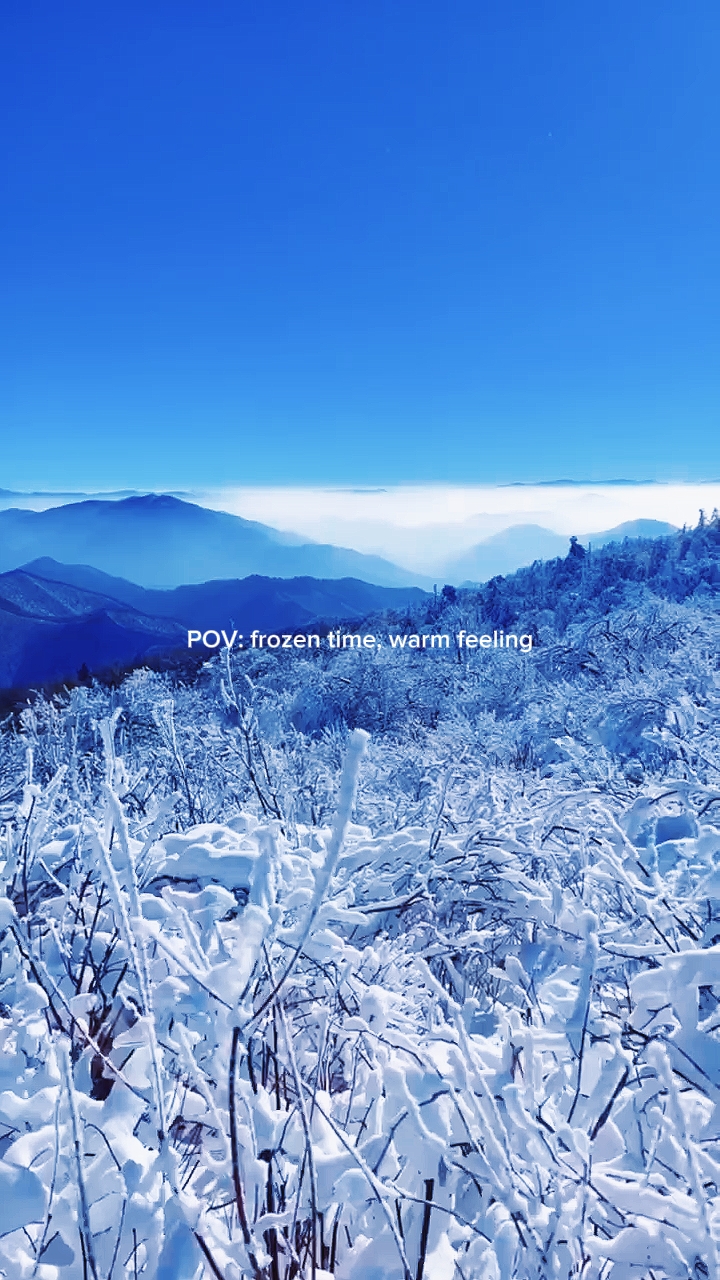 winter pov