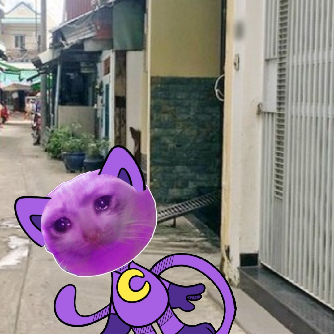 Pho Đinh Mệnh XD