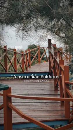 การย้ายต้นไม้