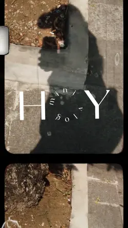 H O Y  |  V L O G