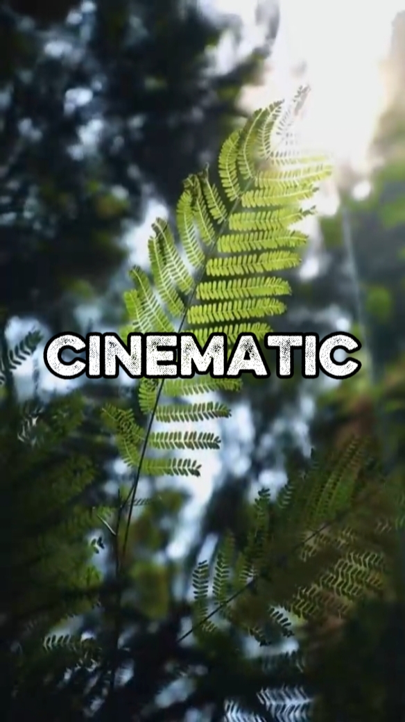 CINEMATIC FOTO/VIDEO