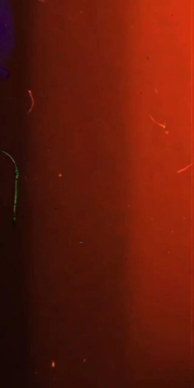 New TempIate