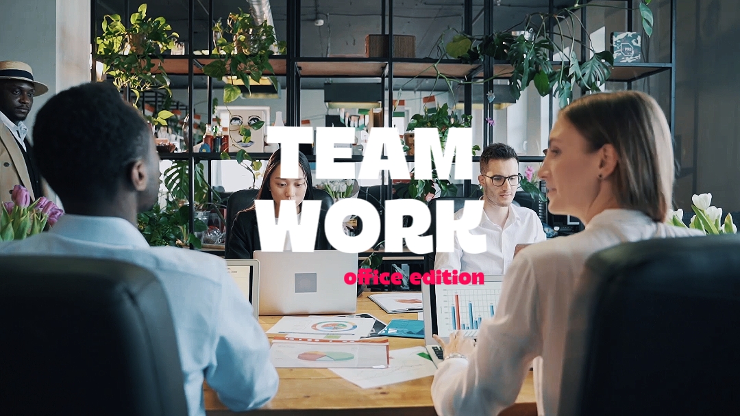 Trabajo en equipo