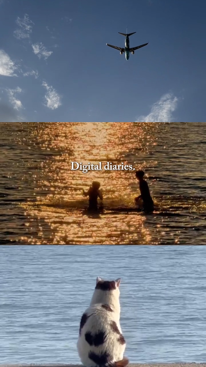 Diários digitais