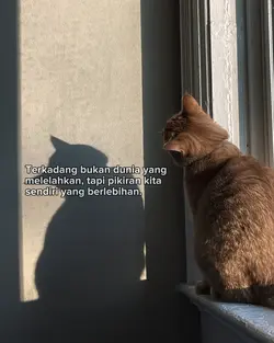 quotes