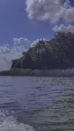 Slowmo filter QHD