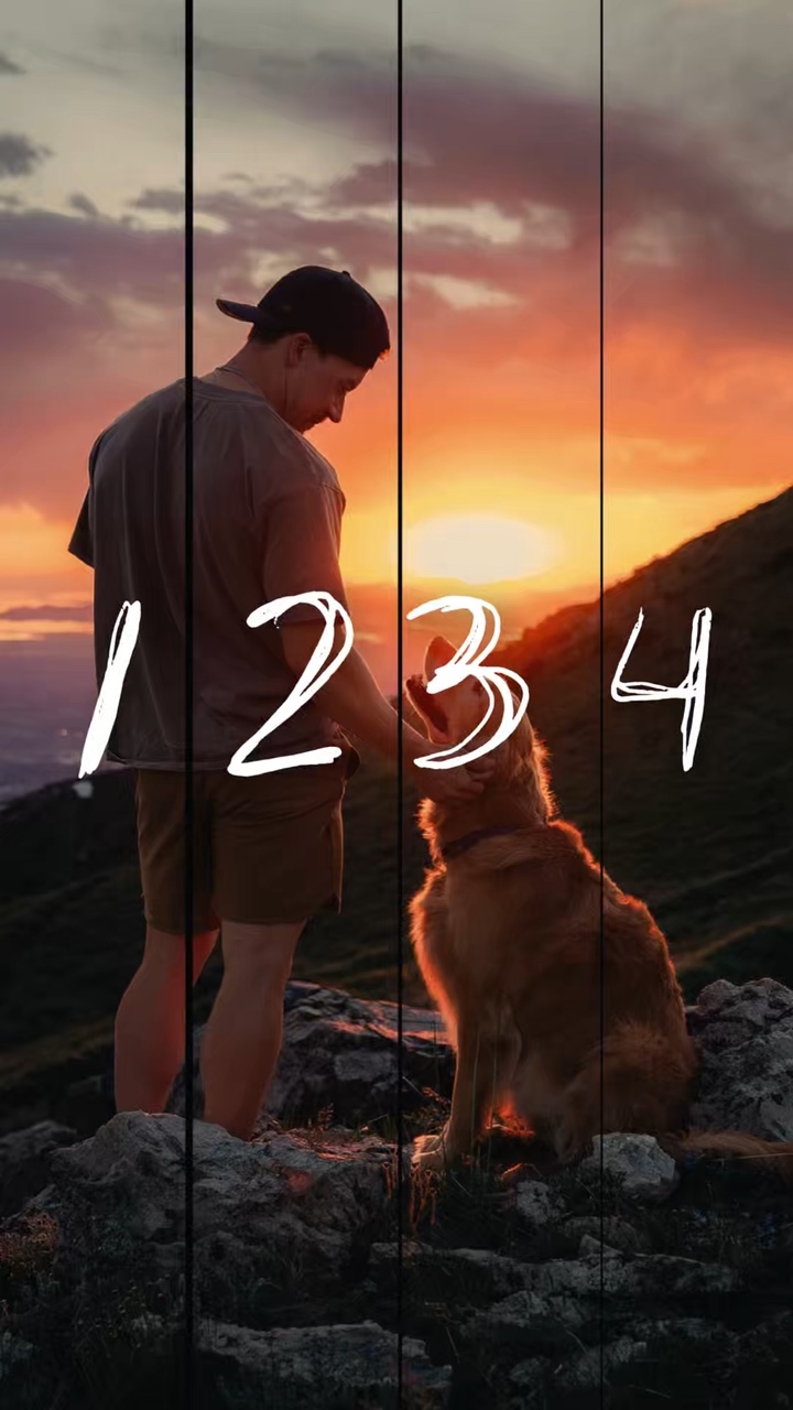 Momentos de mascotas
