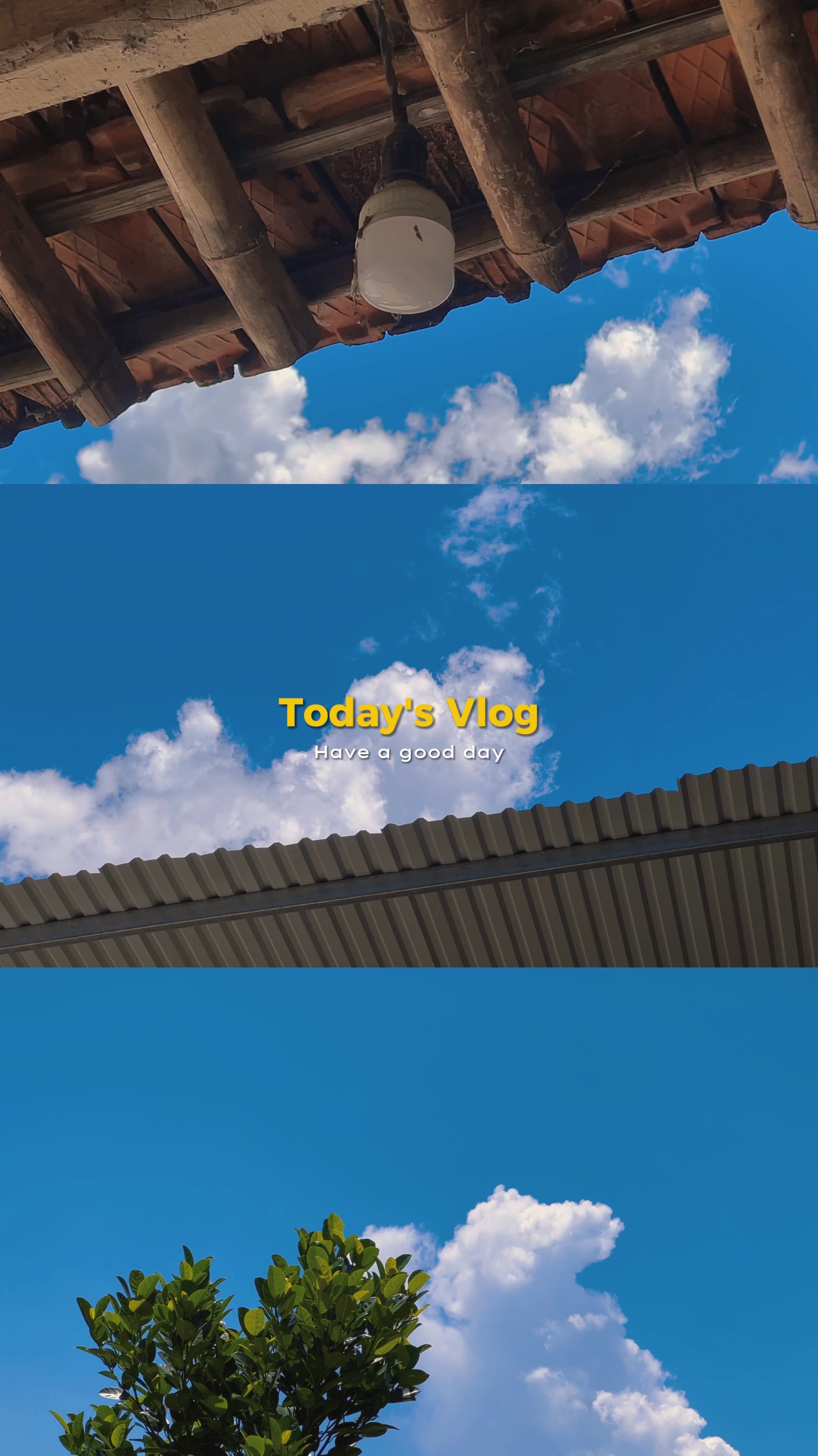 Vlog chill