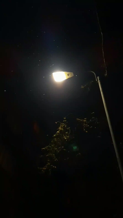 Buenas noches 