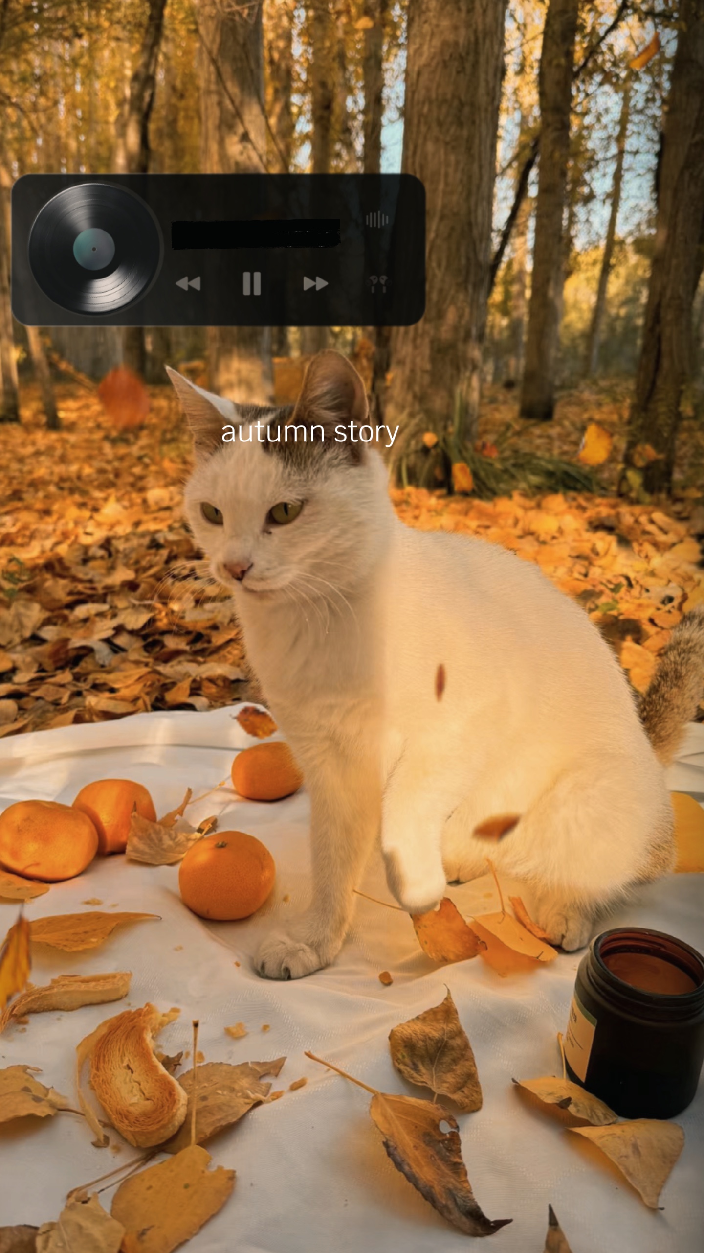 Herbstgeschichte 